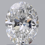 7336240164