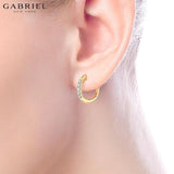 14KY 0.22ctw Natural Diamond Earrings 2.40mm